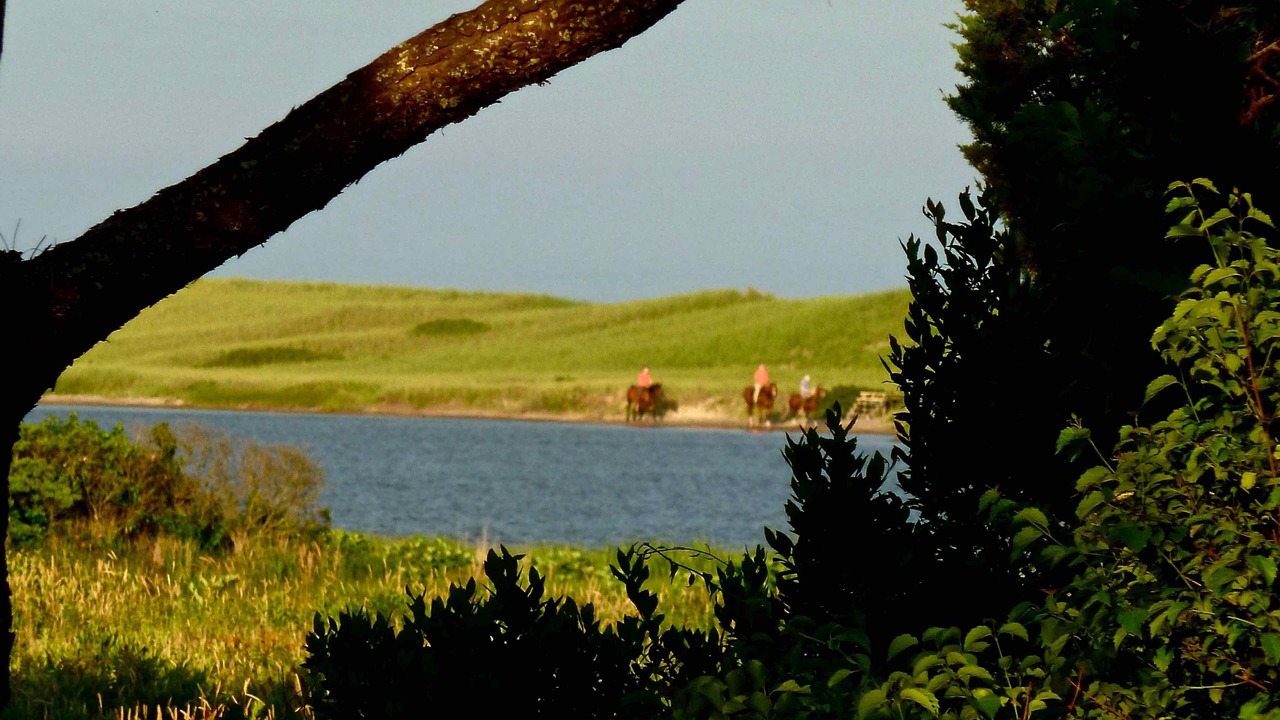 Photo of Others in Chilmark