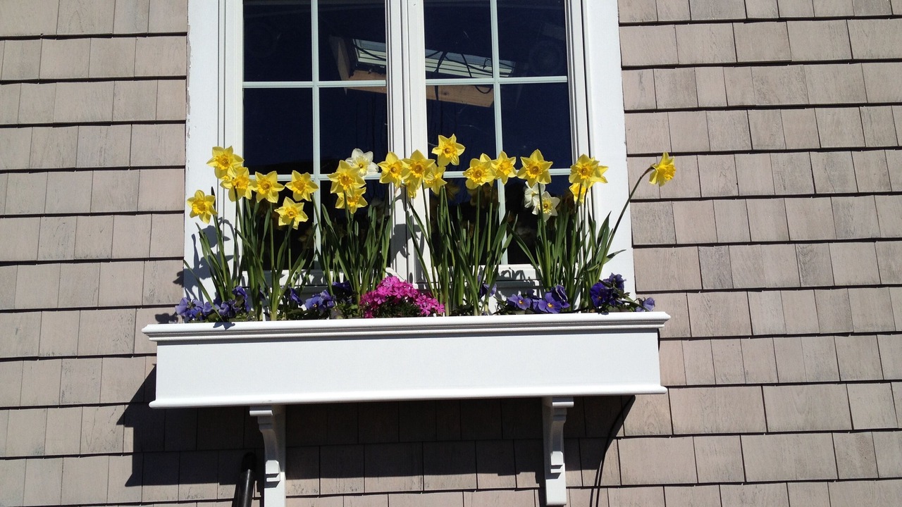 Photo of Outdoor in Middlesex County