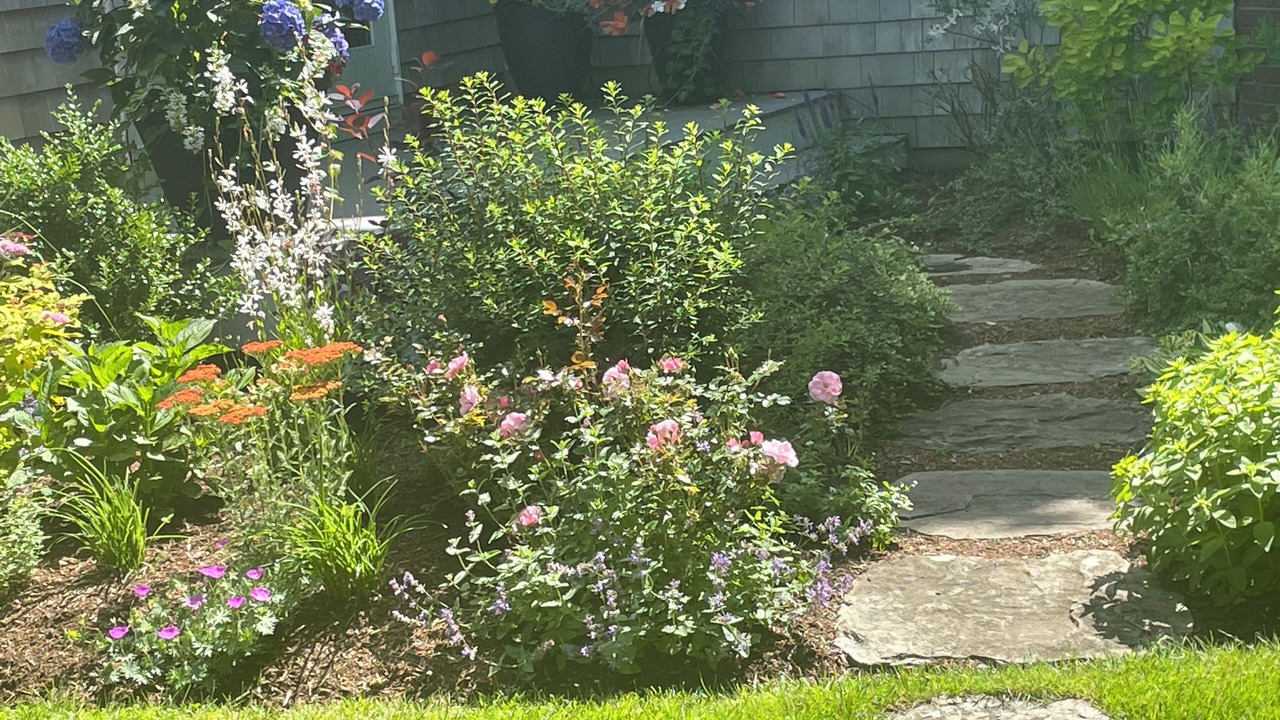 Photo of Outdoor in Edgartown