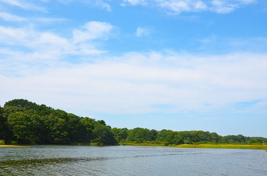 Photo of Others in Edgartown