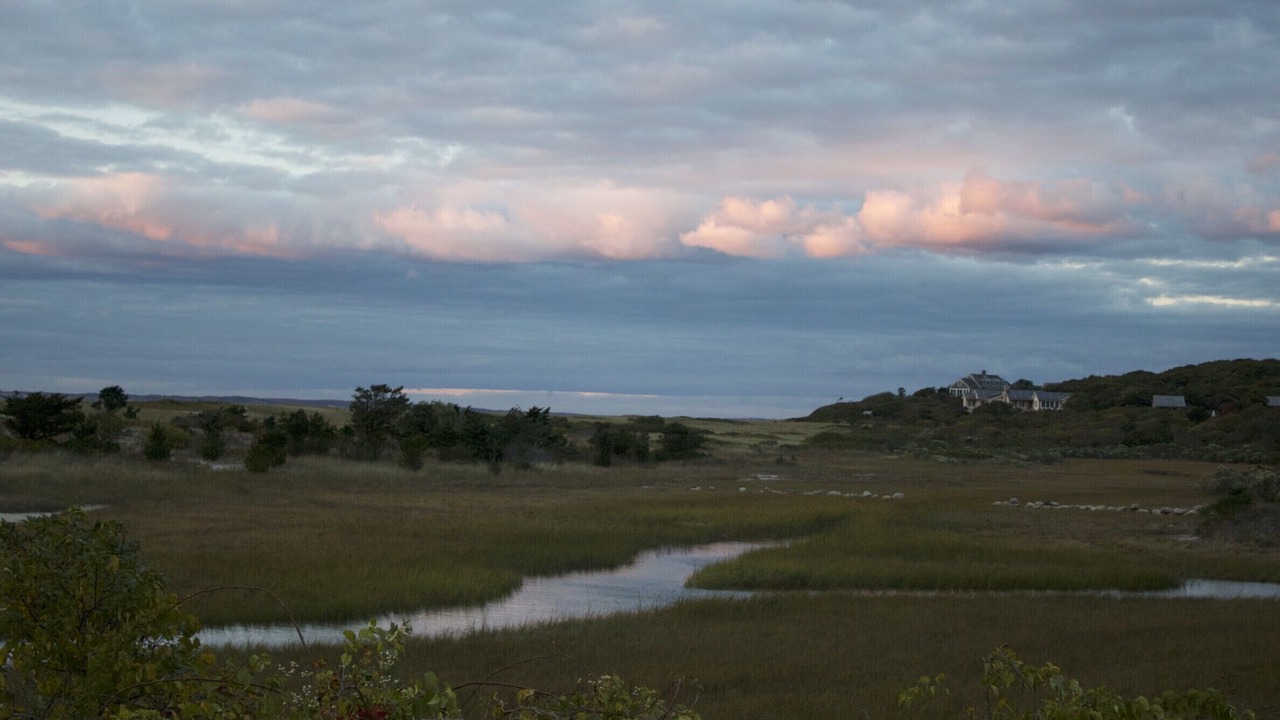 Photo of Others in Chilmark