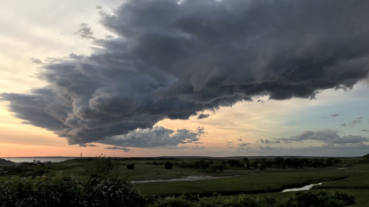Photo of Others in Chilmark