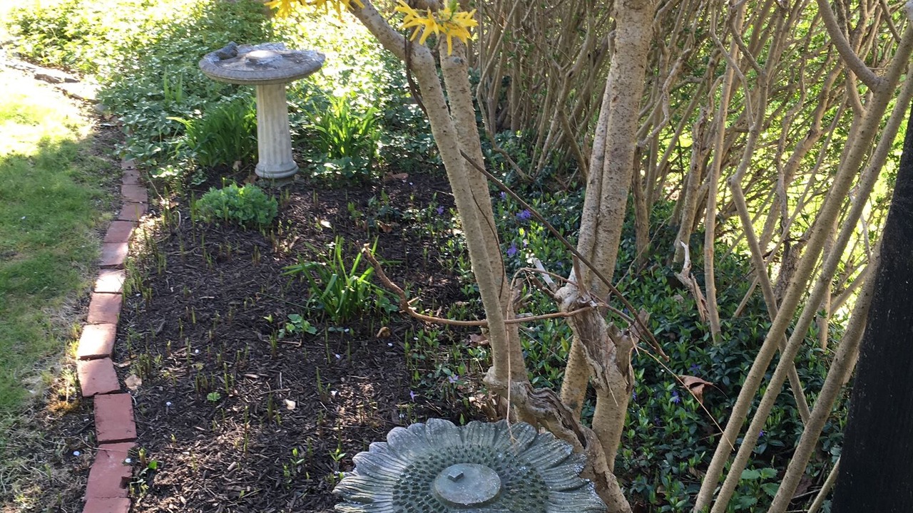 Photo of Outdoor in Fifth Ward