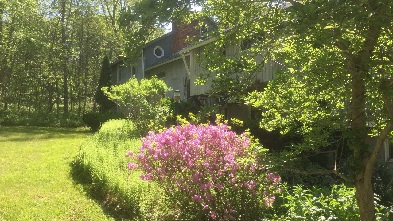 Photo of Outdoor in Deep River Center
