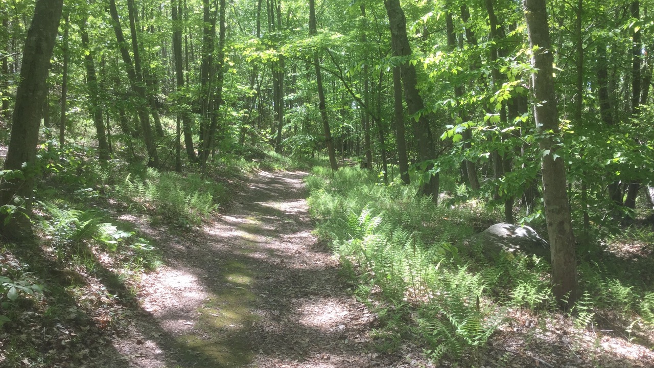 Photo of Outdoor in Deep River Center
