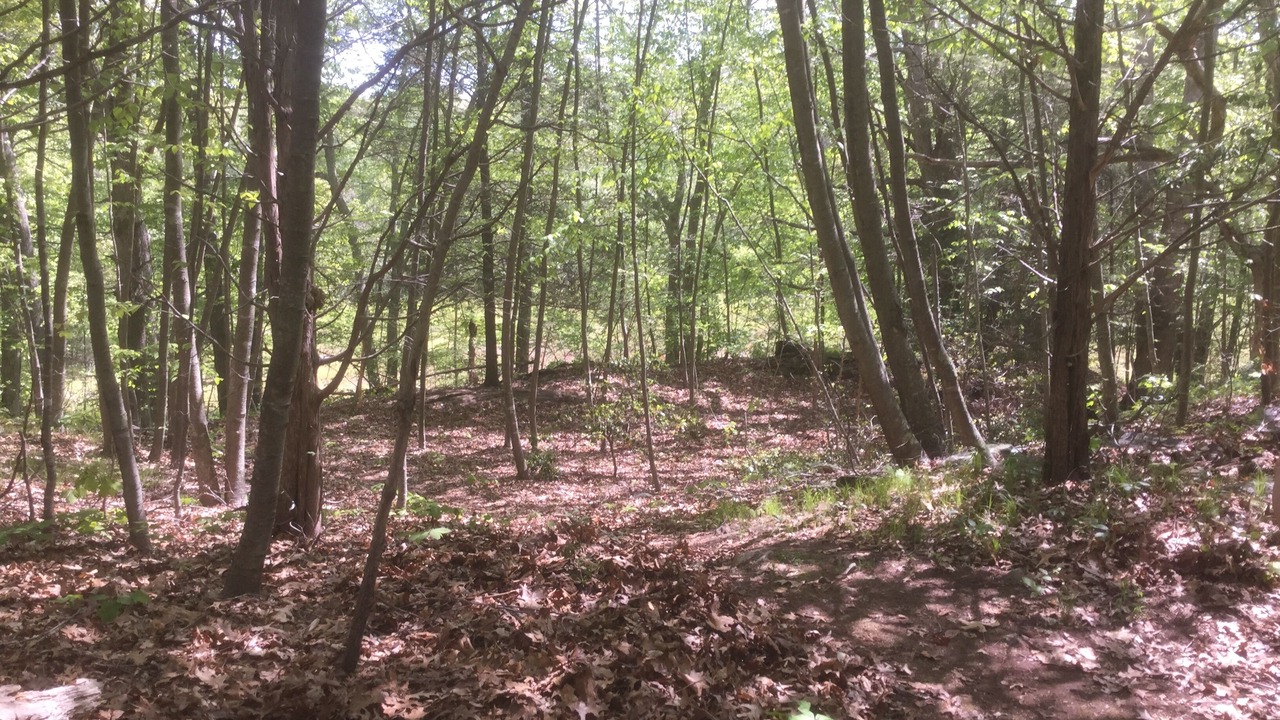 Photo of Outdoor in Deep River Center