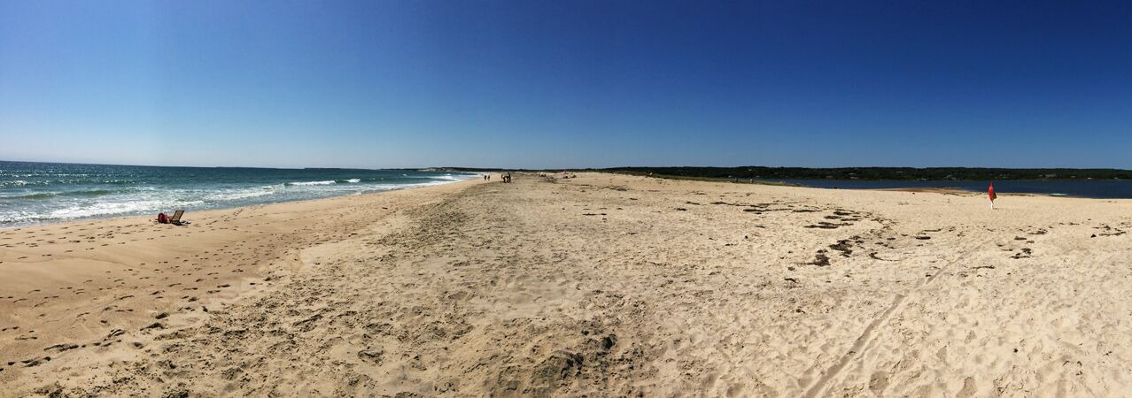 Photo of Others in Chilmark