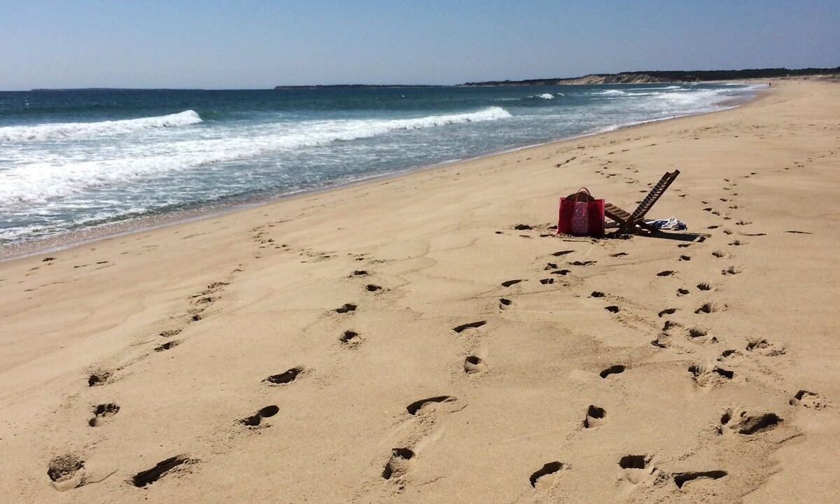 Photo of Others in Chilmark