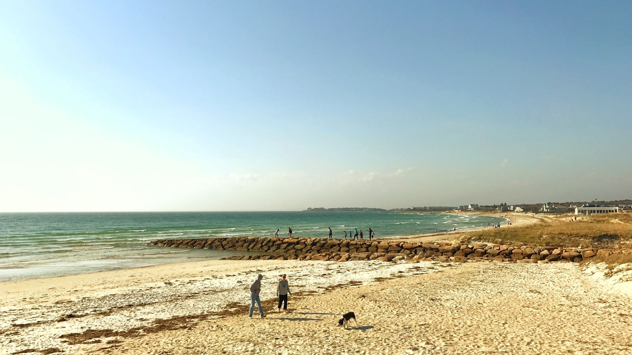 Photo of Others in East Falmouth