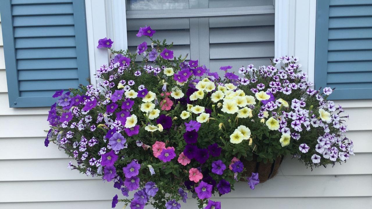 Photo of Outdoor in Lee