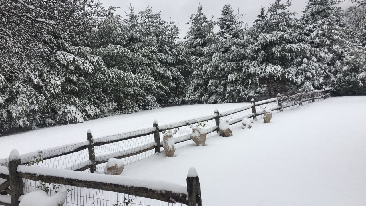 Photo of Outdoor in Lee