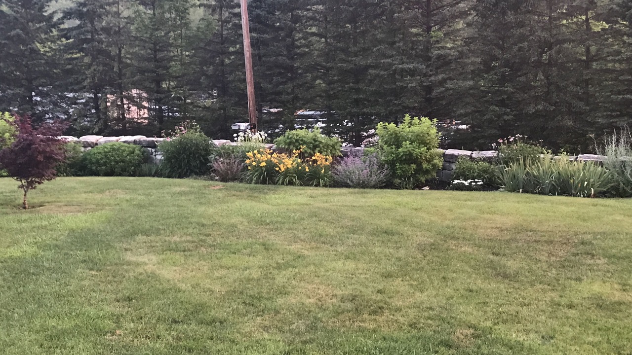 Photo of Outdoor in Lee