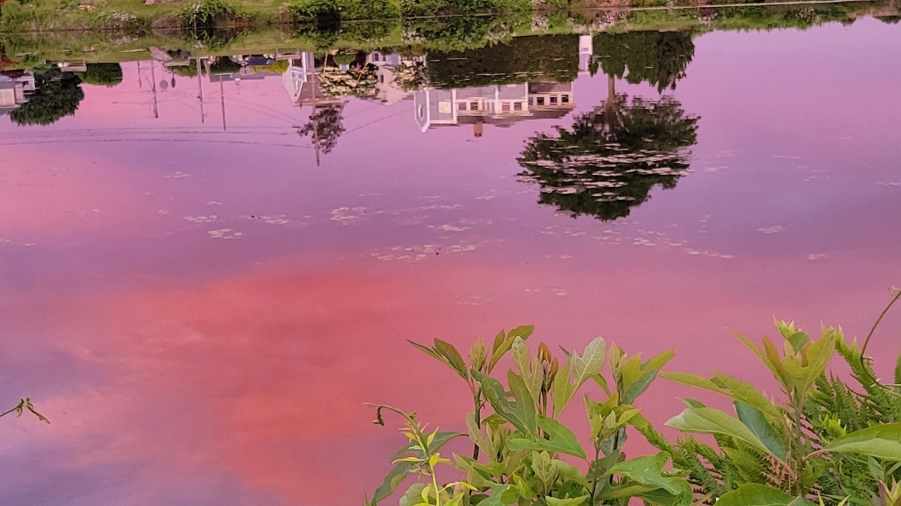 Photo of Outdoor in Niantic