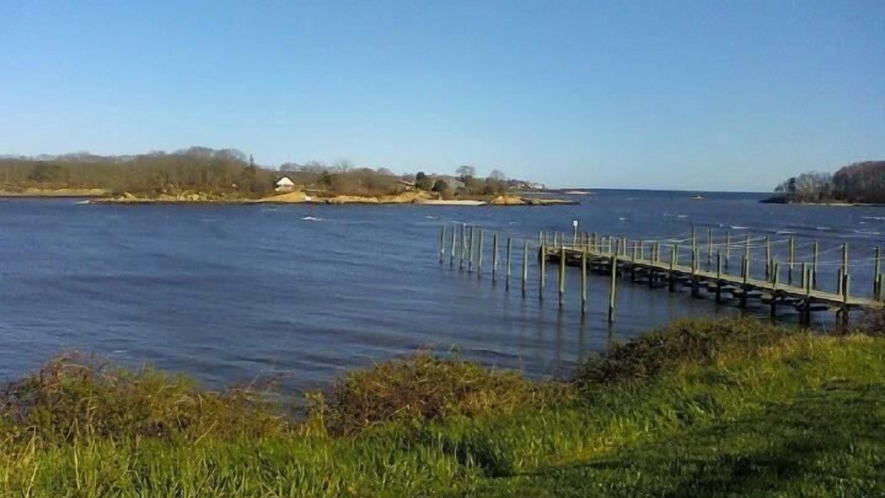 Photo of Others in Niantic