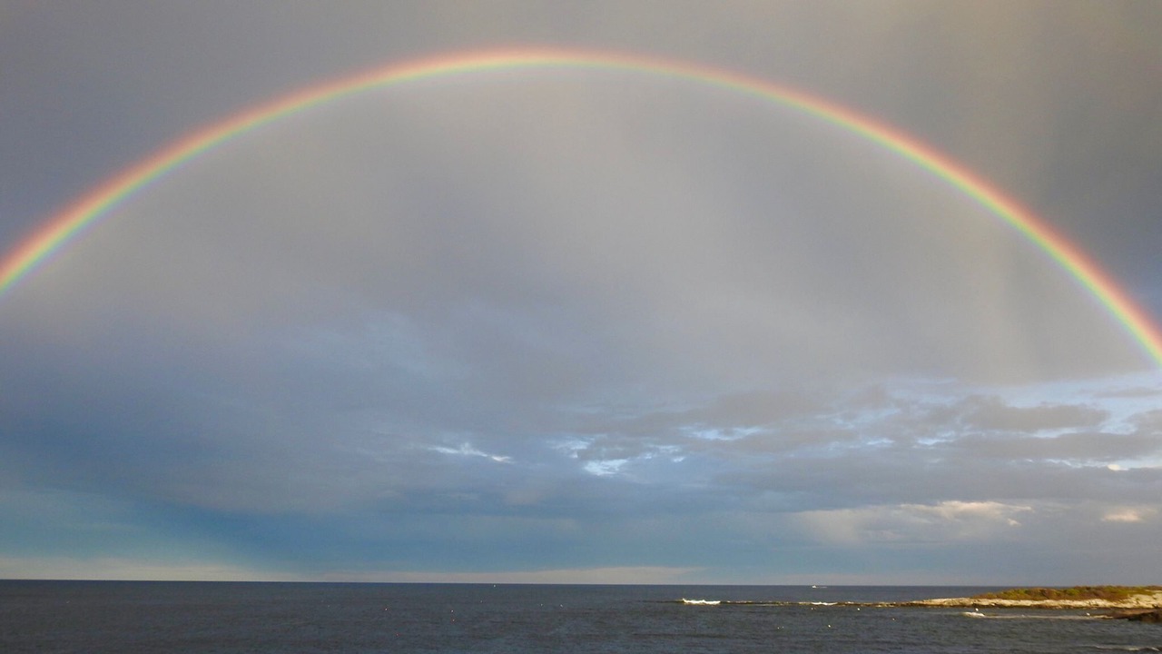 Photo of Others in Pond Cove