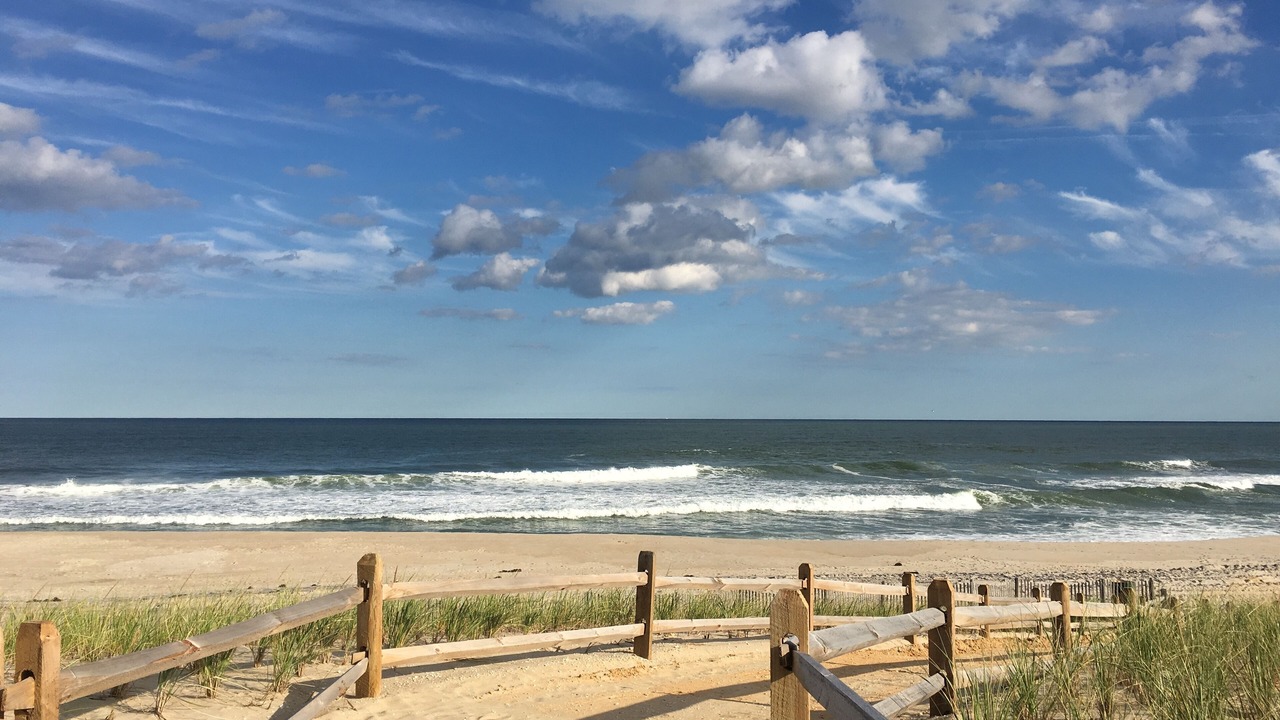 Photo of Others in Surf City