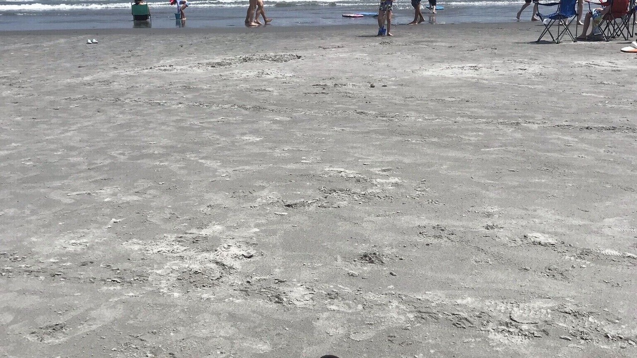 Photo of Others in York Beach