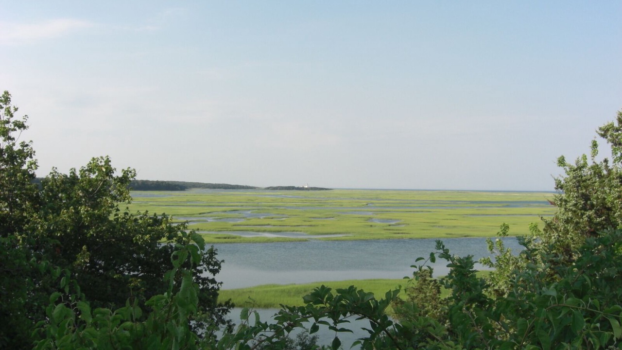 Photo of Others in North Eastham