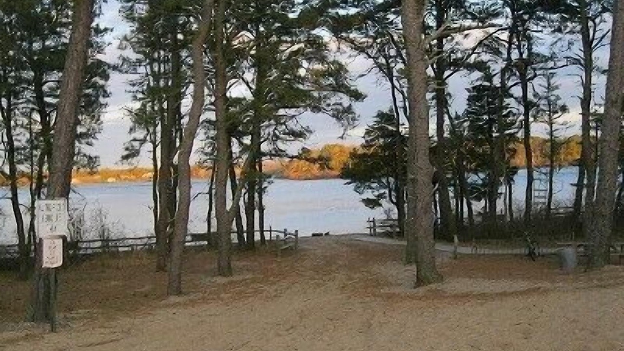 Photo of Others in North Eastham