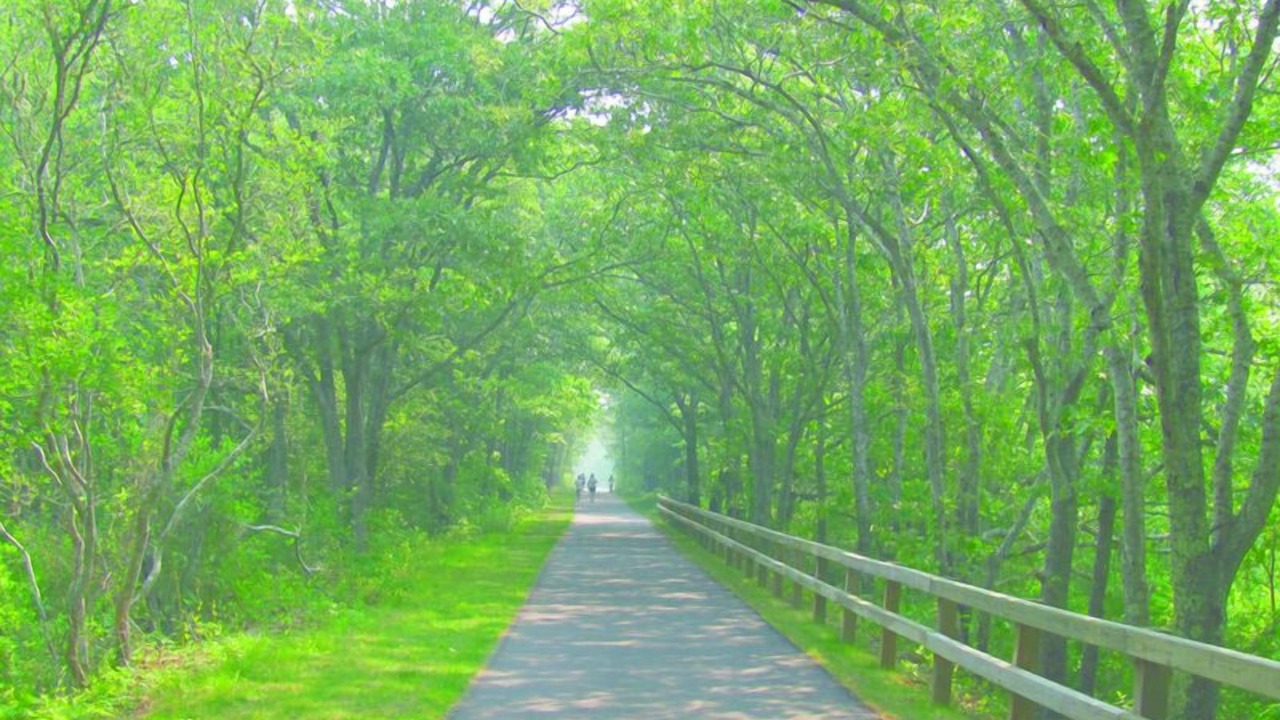 Photo of Others in North Eastham