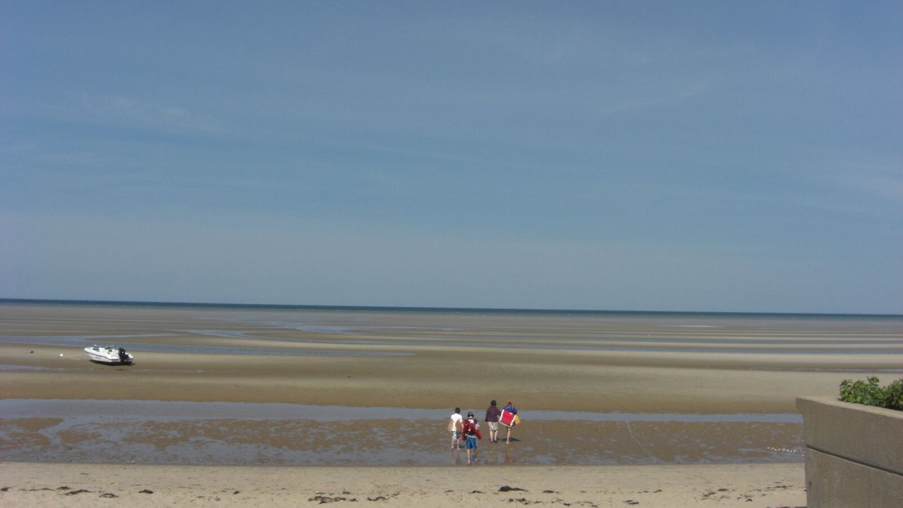 Photo of Others in North Eastham