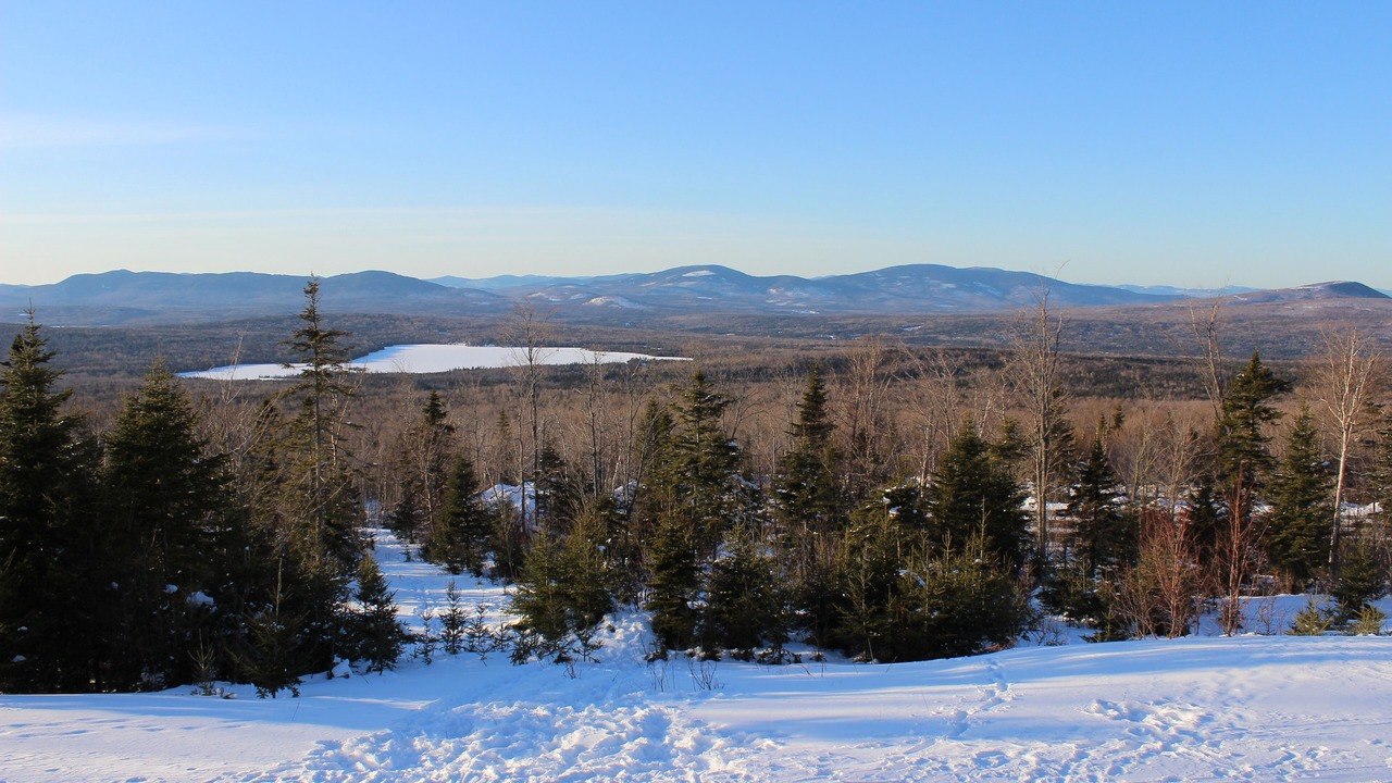 Photo of Others in Rangeley