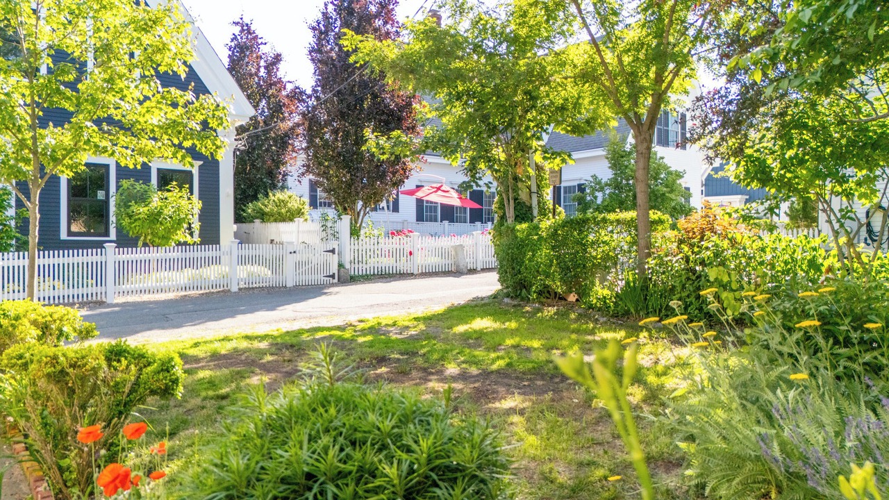 Photo of Outdoor in Provincetown