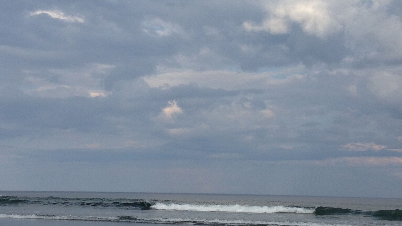 Photo of Others in York Harbor