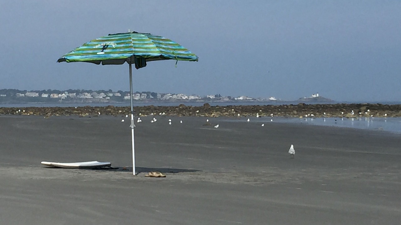 Photo of Others in York Harbor