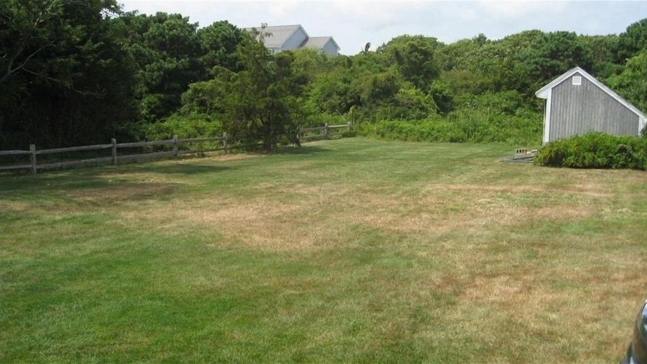 Photo of Others in South Yarmouth