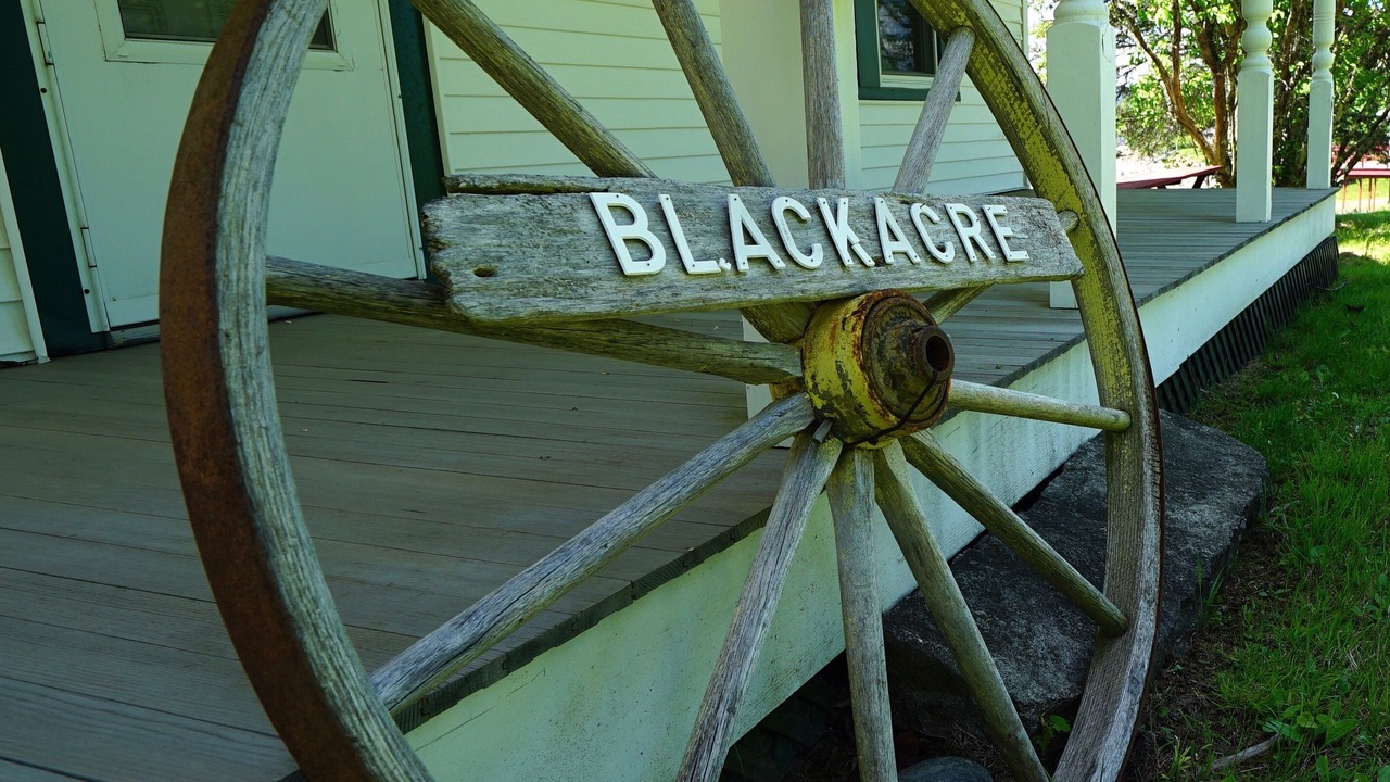 Photo of Outdoor in Bass Harbor