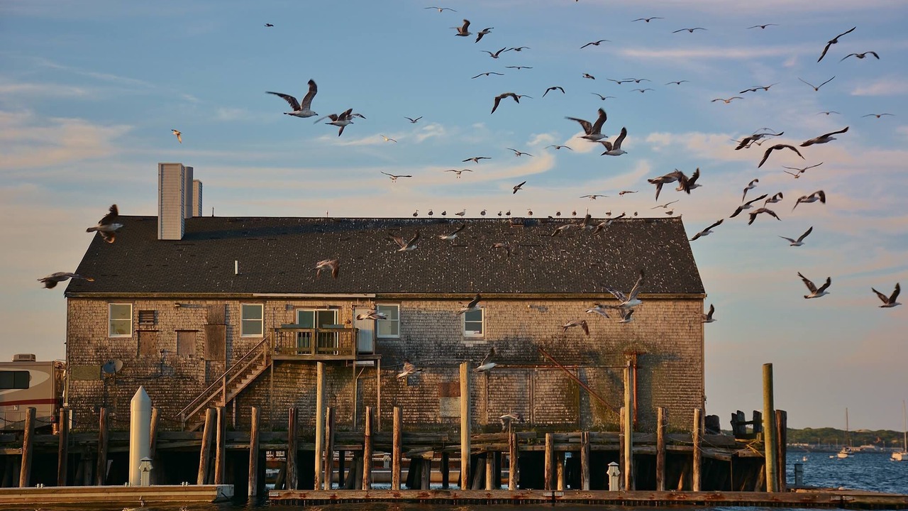 Photo of Outdoor in Provincetown