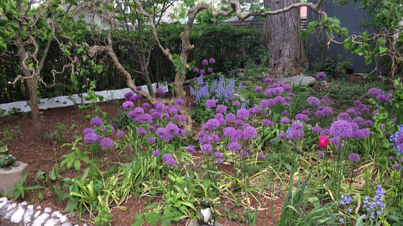 Photo of Outdoor in Newport East
