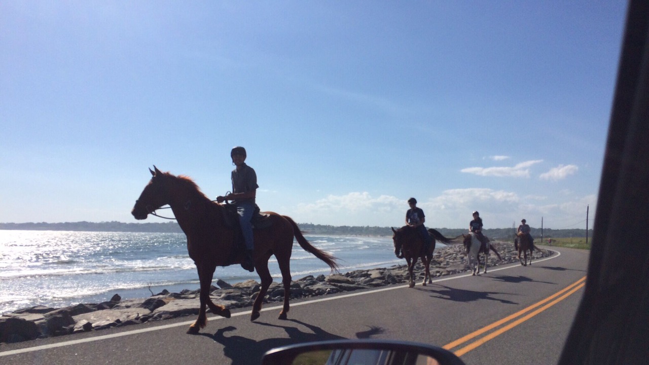 Photo of Others in Newport East