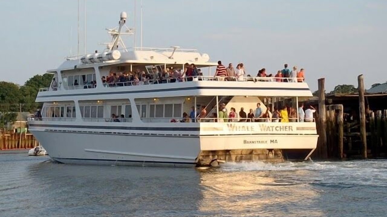 Photo of Others in Barnstable