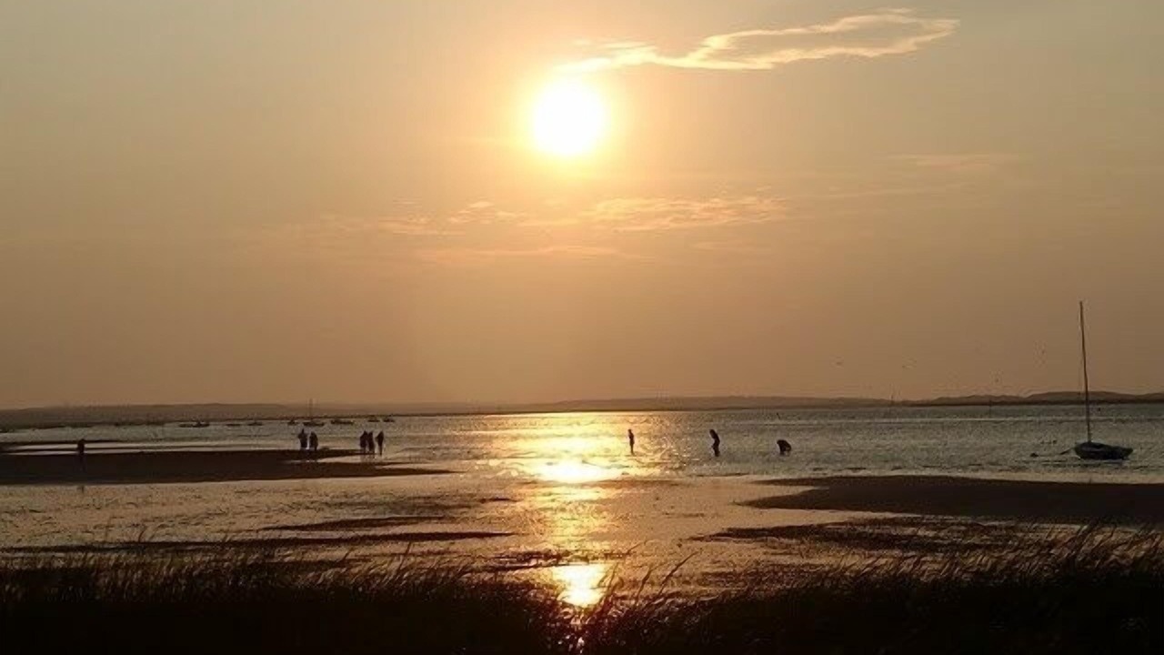 Photo of Others in Barnstable
