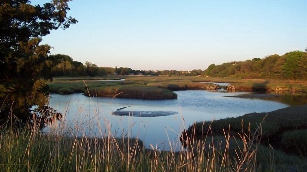 Photo of Others in Barnstable