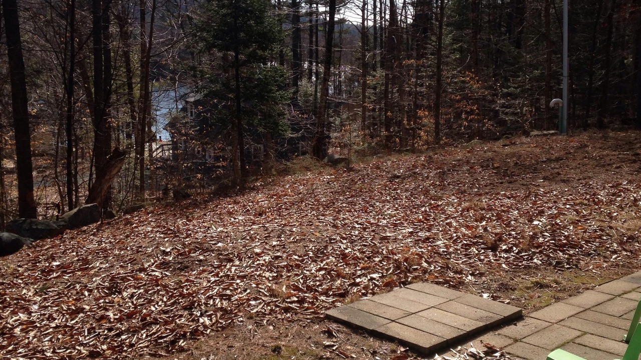 Photo of Outdoor in Newbury