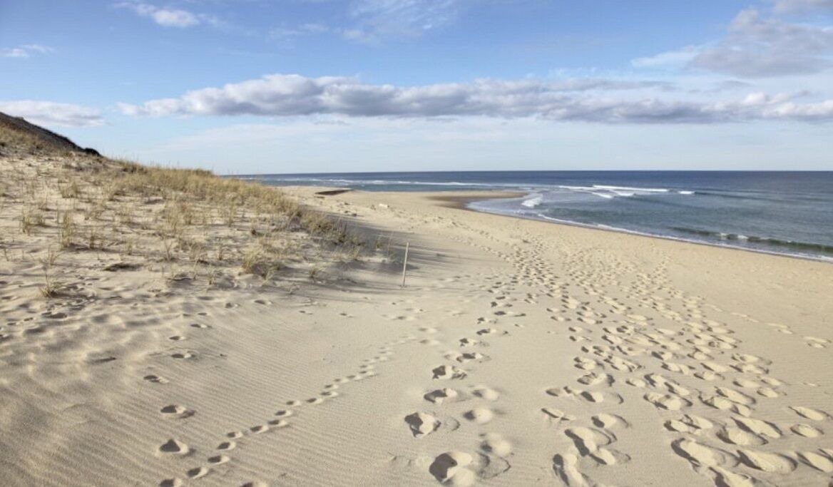 Photo of Others in Provincetown