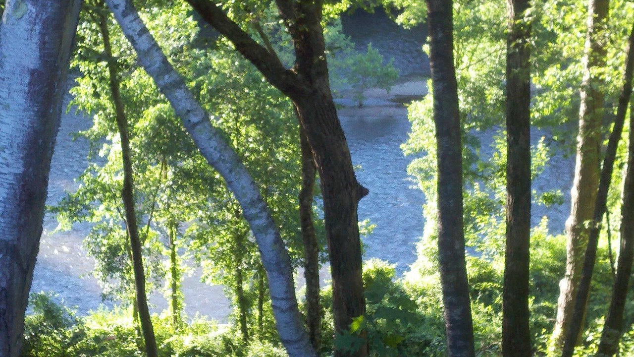 Photo of Others in Cornwall Bridge