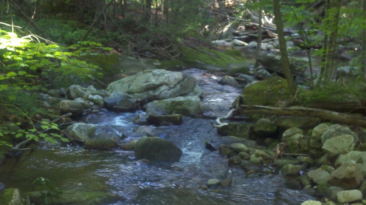 Photo of Others in Cornwall Bridge
