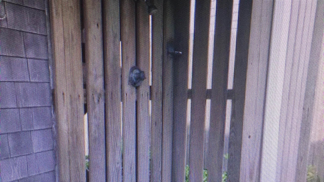 Photo of Outdoor in Dennis Port