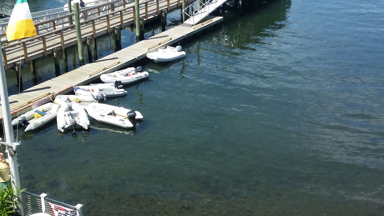 Photo of Others in Yachting Village