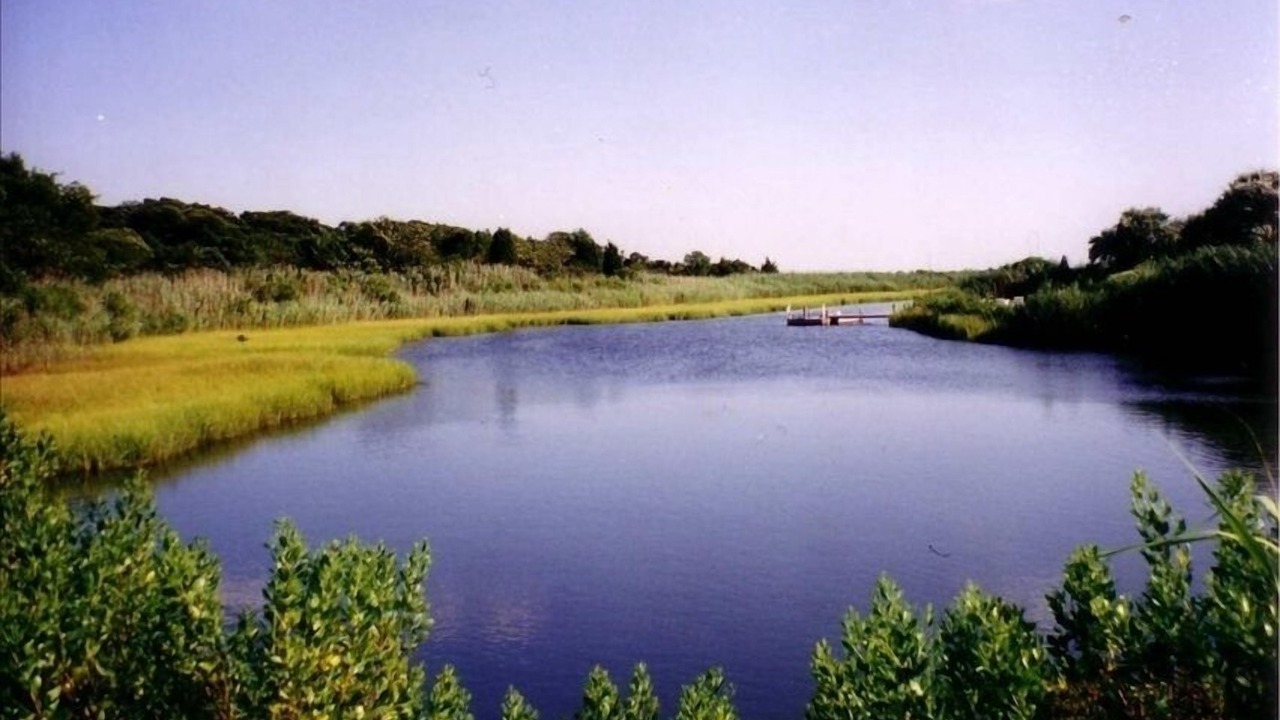 Photo of Others in Westhampton