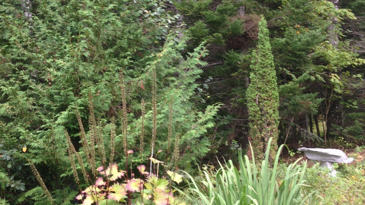 Photo of Outdoor in Hancock