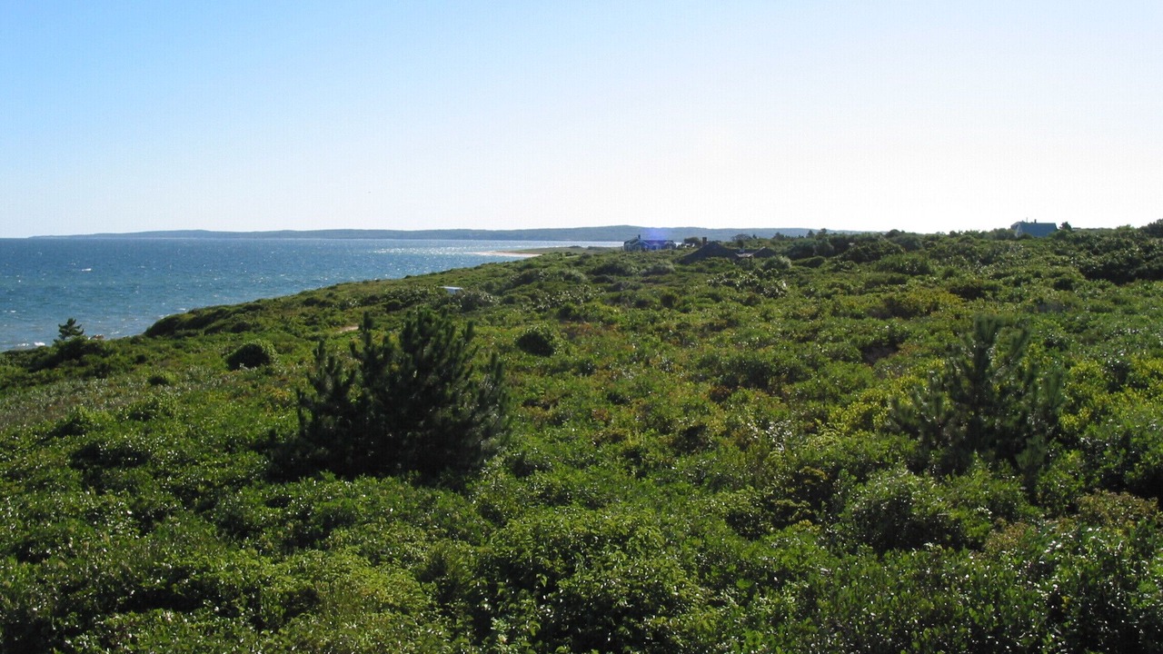 Photo of Others in Aquinnah