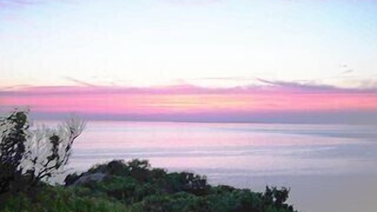 Photo of Others in Aquinnah