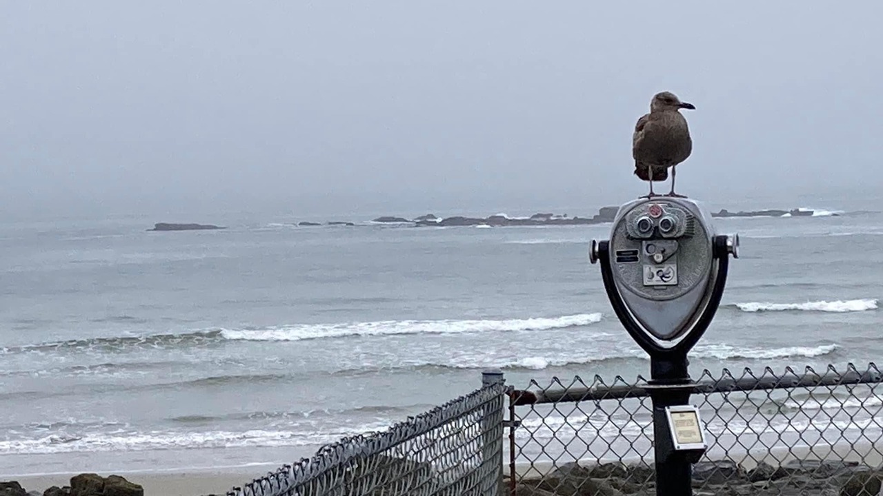 Photo of Others in Wells Beach
