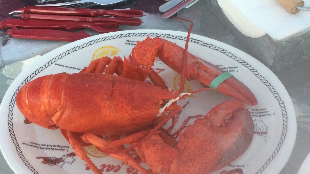 Photo of Outdoor in Wells Beach