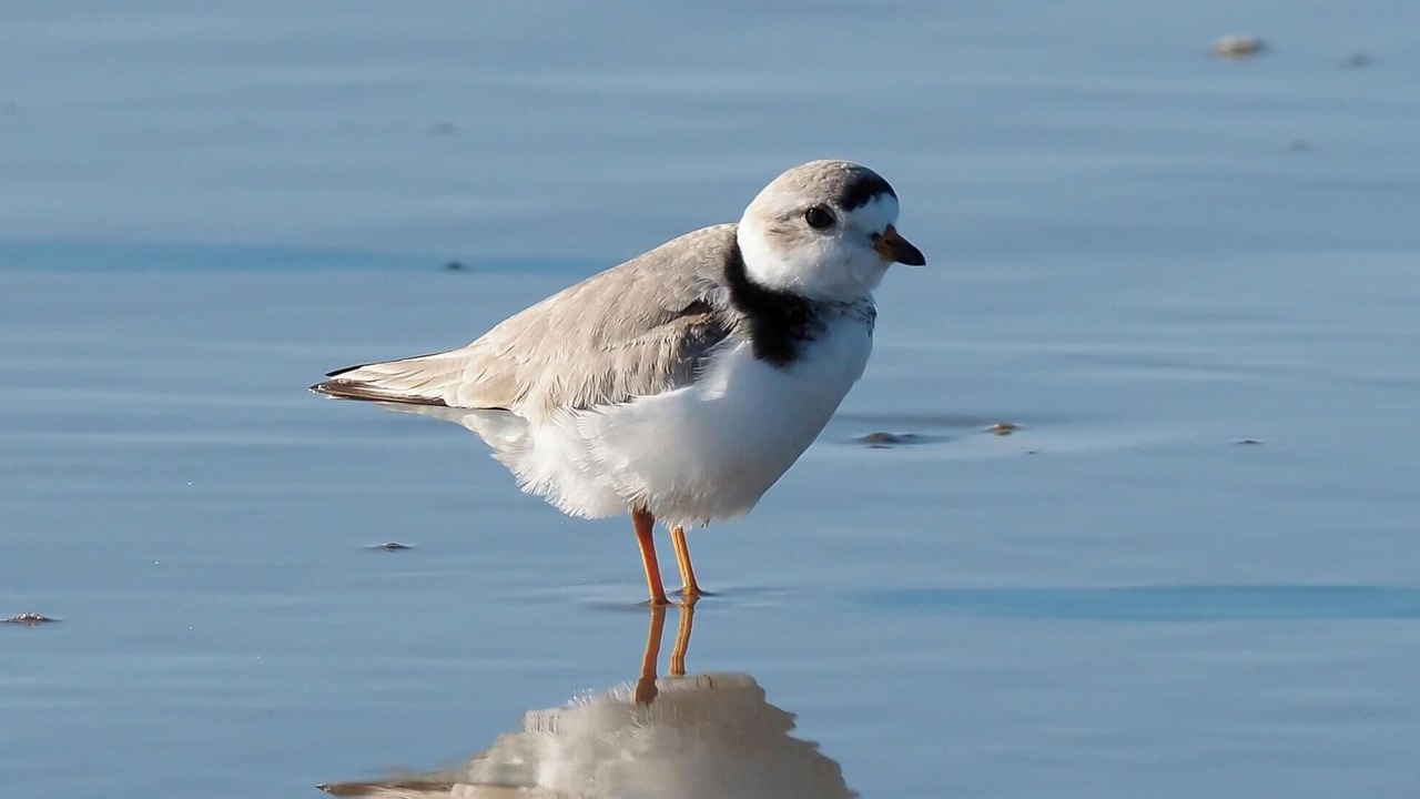 Photo of Others in Wells Beach